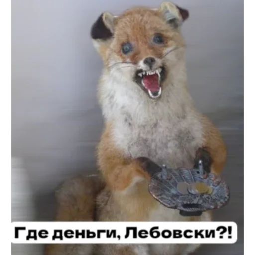 🦊 Стикер «Лиса» для Telegram