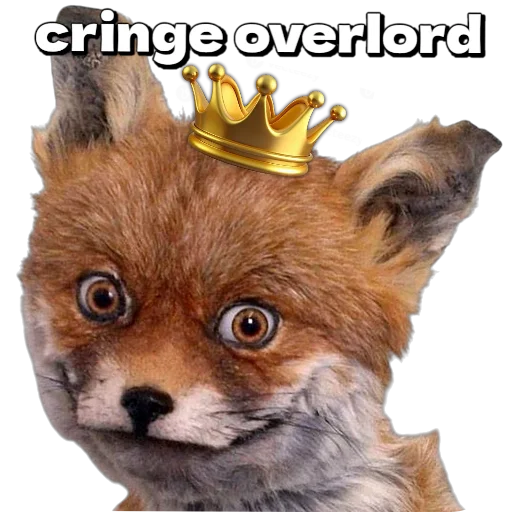 🦊 Стикер «Лиса» для Telegram