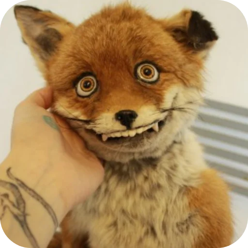 ❤ Стикер «Лиса» для Telegram