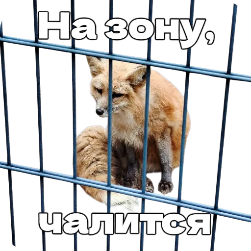 👮‍♂ Стикер «Лиса» для Telegram