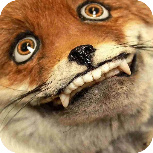 🤪 Стикер «Лиса» для Telegram
