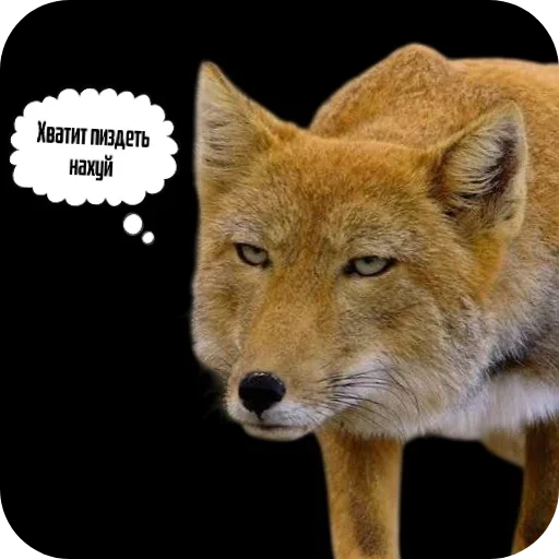 😒 Стикер «Лиса» для Telegram
