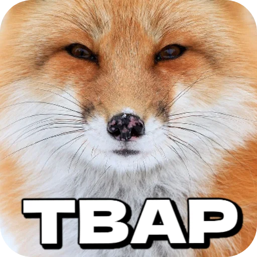 😤 Стикер «Лиса» для Telegram