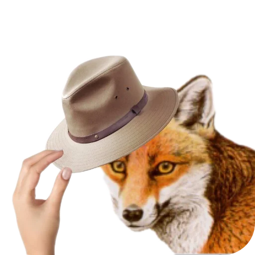 🎩 Стикер «Лиса» для Telegram