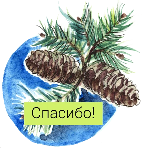 ☺️ Стикер «Редкие растения России» для Telegram