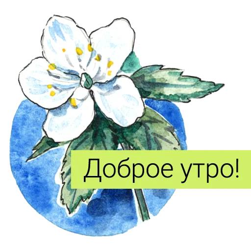 🌞 Стикер «Редкие растения России» для Telegram