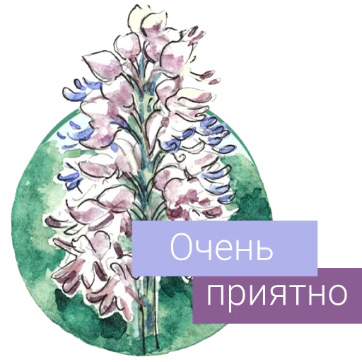 Стикерпак Редкие растения России для Telegram — скачать