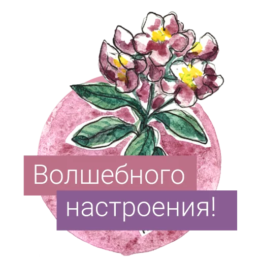 🧚‍♀️ Стикер «Редкие растения России» для Telegram