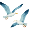 🕊️ Эмодзи «Набор эмоджи с летним миксом» для Telegram