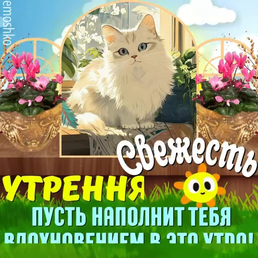 ☀️ Стикер «Лето» для Telegram