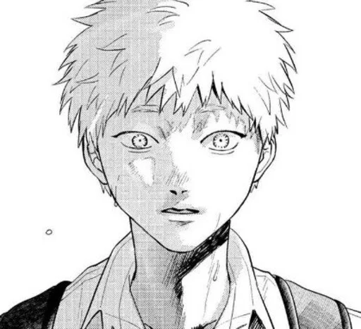 😦 Стикер «The Summer Hikaru Died» для Telegram