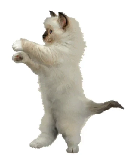 🕺 Стикер «Let`s Danse» для Telegram