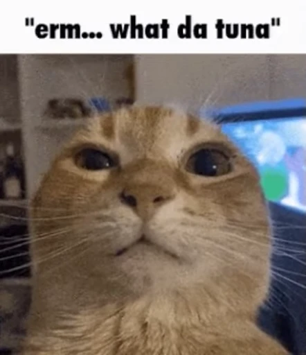 🤨 Стикер «Literally gifs» для Telegram