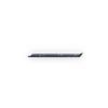 Стикер 48 letters. Blue fireflies from