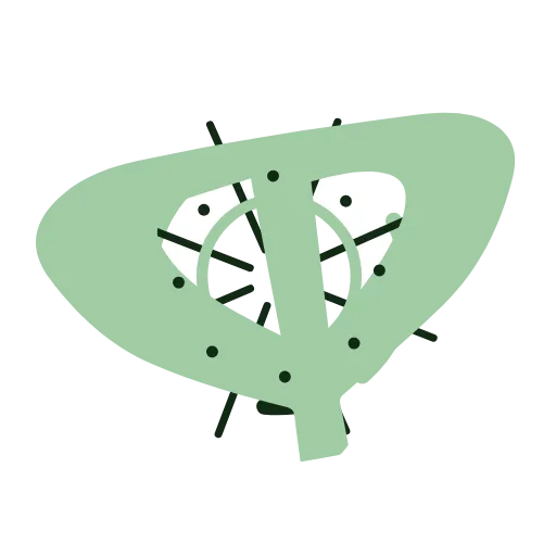 Стикер 23 🌱🌱🌱🌱🌱🌱🌱
