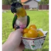 Стикер 53 Птичьи Дичи