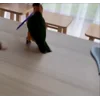 Стикер 12 Птичьи Дичи