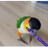 Стикер 13 Птичьи Дичи
