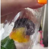Стикер 11 Птичьи Дичи