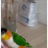 Стикер 15 Птичьи Дичи