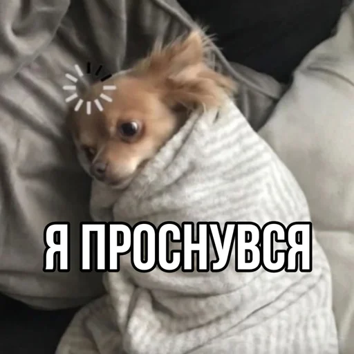 🥱 Стикер «leyapepel» для Telegram