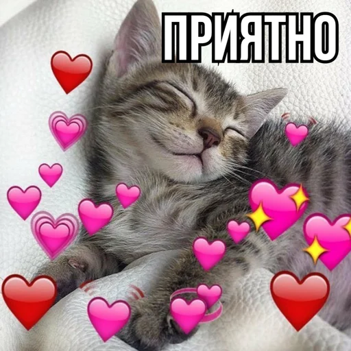 🥰 Стикер «leyapepel» для Telegram