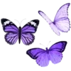 Стикер 60 Ʋισʅҽƚ ᵇʸ