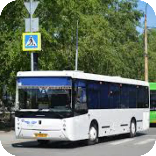 🚌 Стикер «Автобусы» для Telegram