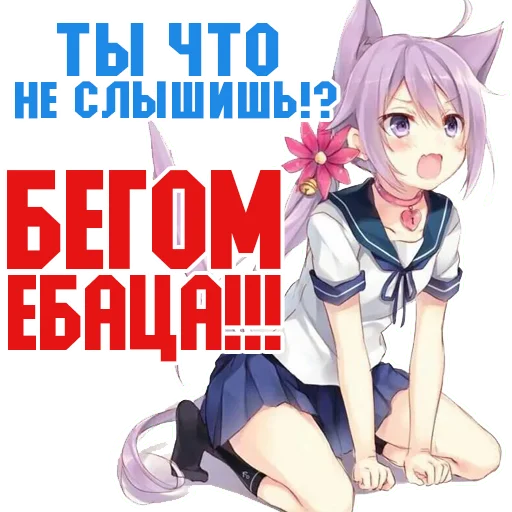 🤬 Стикер «Личка Админа» для Telegram
