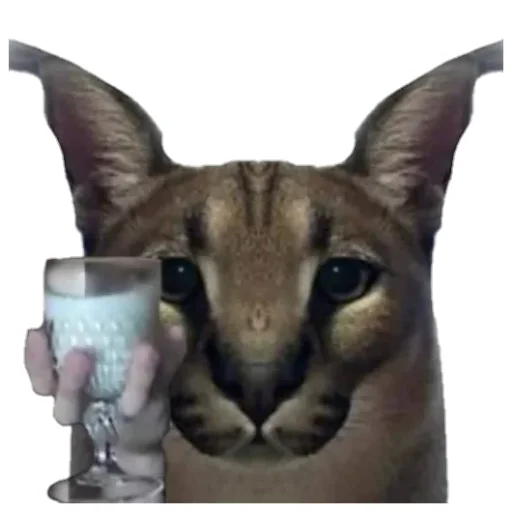 😋 Стикер «Личка Админа» для Telegram