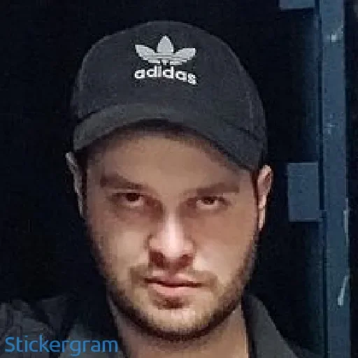 🧠 Стикер «Никола Lida ))» для Telegram