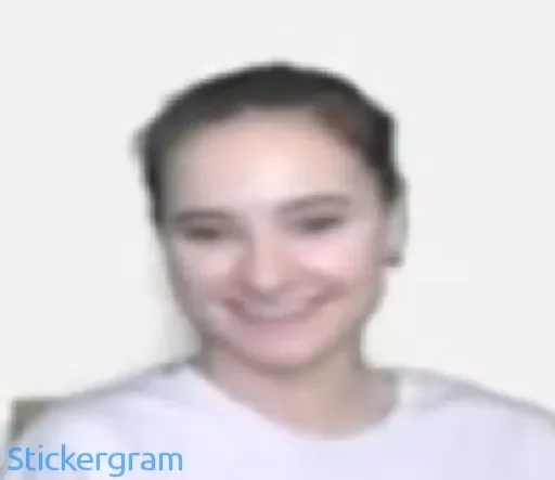 🌻 Стикер «Никола Lida ))» для Telegram