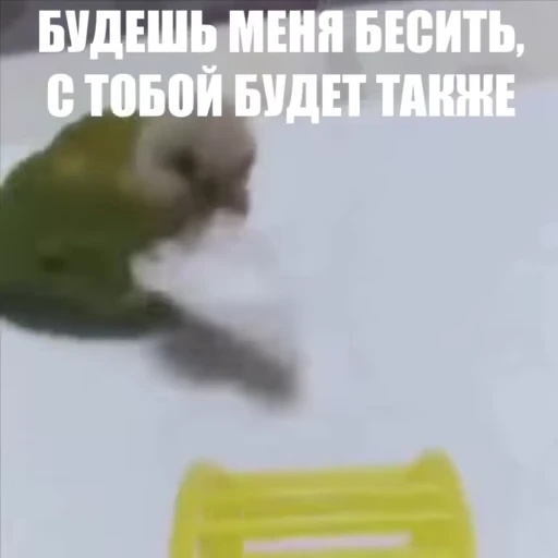 😤 Стикер «Новый видеопак» для Telegram