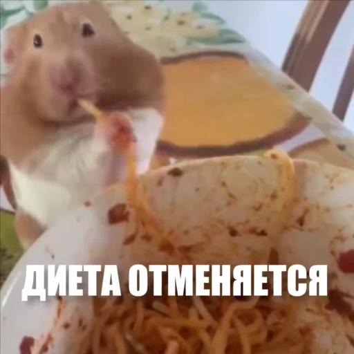 😋 Стикер «Новый видеопак» для Telegram