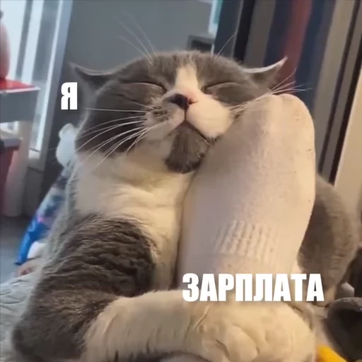 🤗 Стикер «Новый видеопак» для Telegram