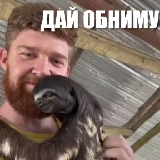 👐 Стикер «Новый видеопак» для Telegram