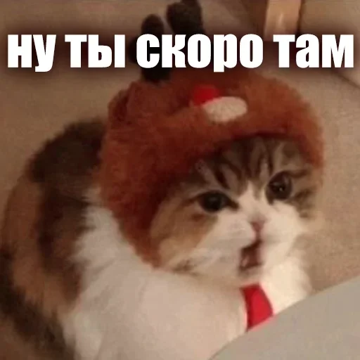 🧡 Стикер «ЖЮ Видео НГ» для Telegram