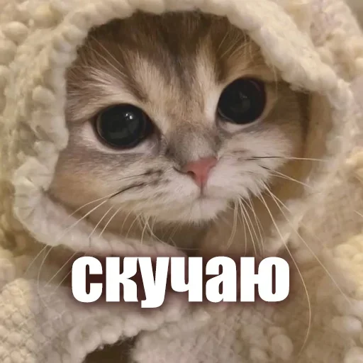 😙 Стикер «ЖЮ Видео НГ» для Telegram