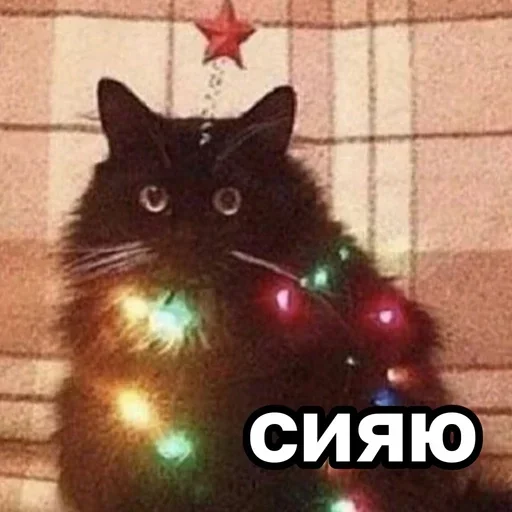😊 Стикер «ЖЮ Видео НГ» для Telegram