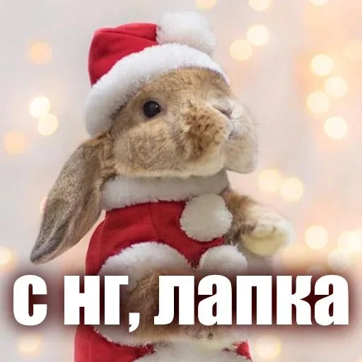 🎄 Стикер «ЖЮ Видео НГ» для Telegram