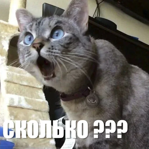 😳 Стикер «ЖЮ Видео НГ» для Telegram