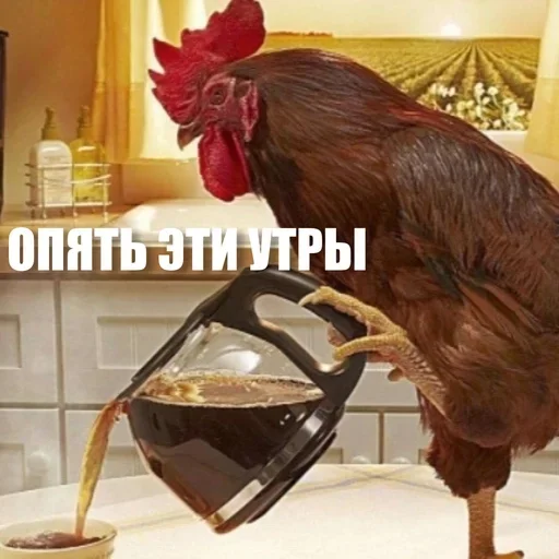 😲 Стикер «ЖЮ Видео НГ» для Telegram