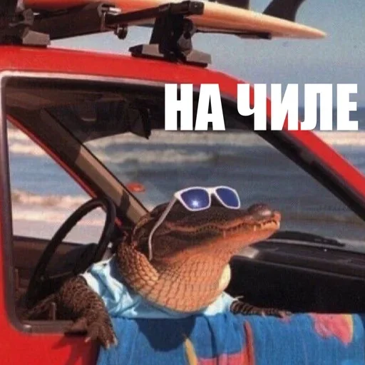 😀 Стикер «ЖЮ Видео НГ» для Telegram
