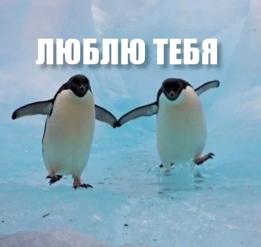 🧡 Стикер «ЖЮ Видео НГ» для Telegram