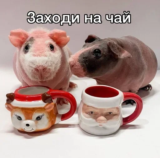 🌟 Стикер «ЖЮ Видео НГ» для Telegram