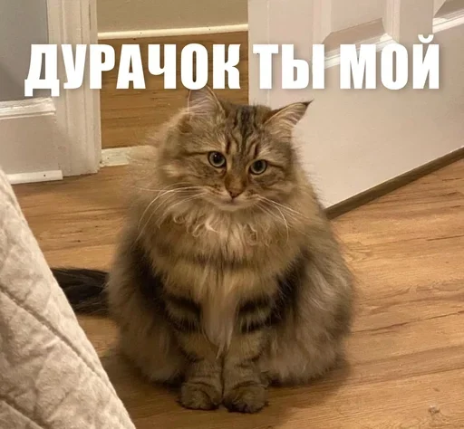 🙂 Стикер «ЖЮ Видео НГ» для Telegram