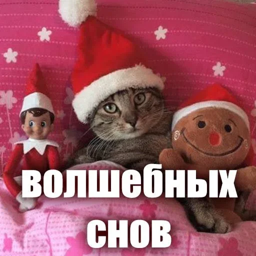 🫠 Стикер «ЖЮ Видео НГ» для Telegram