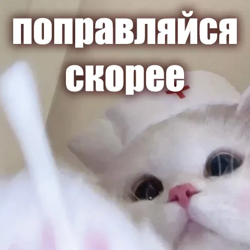 👋 Стикер «ЖЮ Видео НГ» для Telegram