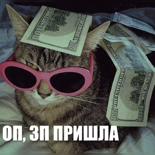 😎 Стикер «ЖЮ Видео НГ» для Telegram