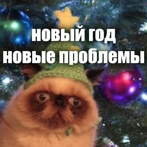 🤪 Стикер «ЖЮ Видео НГ» для Telegram